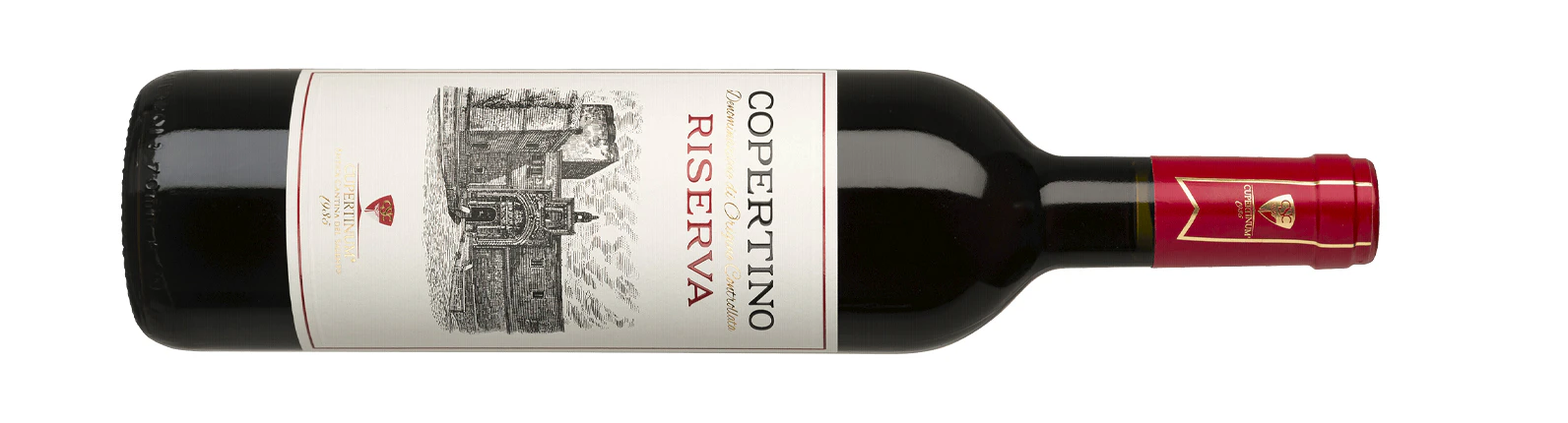 Så väljer du rätt vin till maträtter med svamp