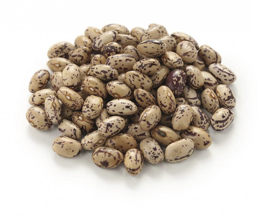 borlotti-bonor