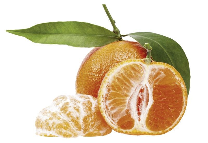 klementin