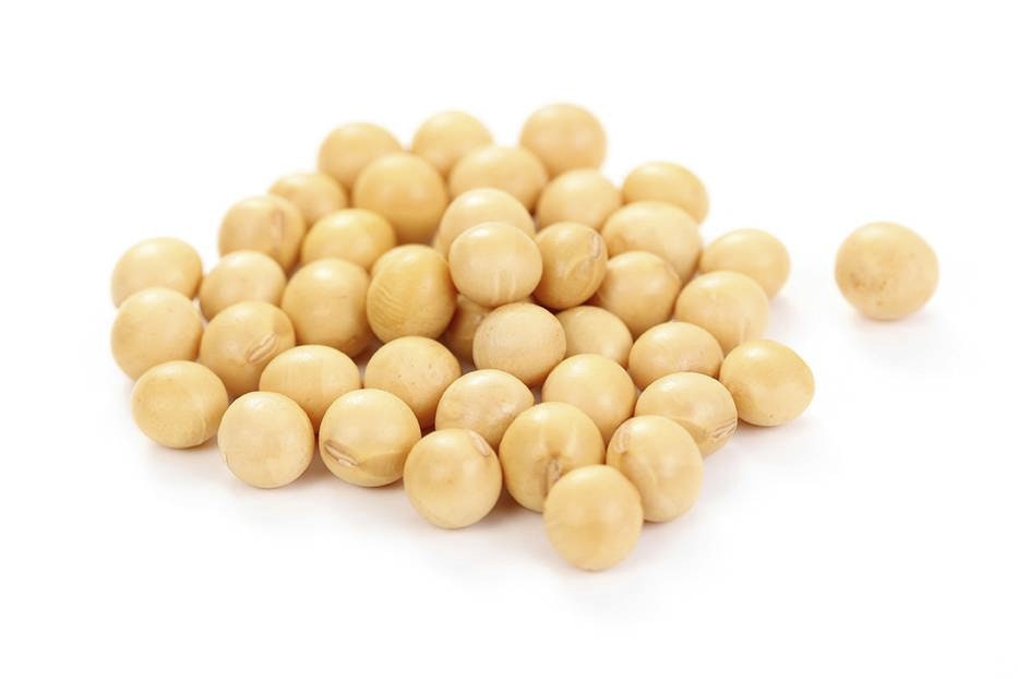 soybeans