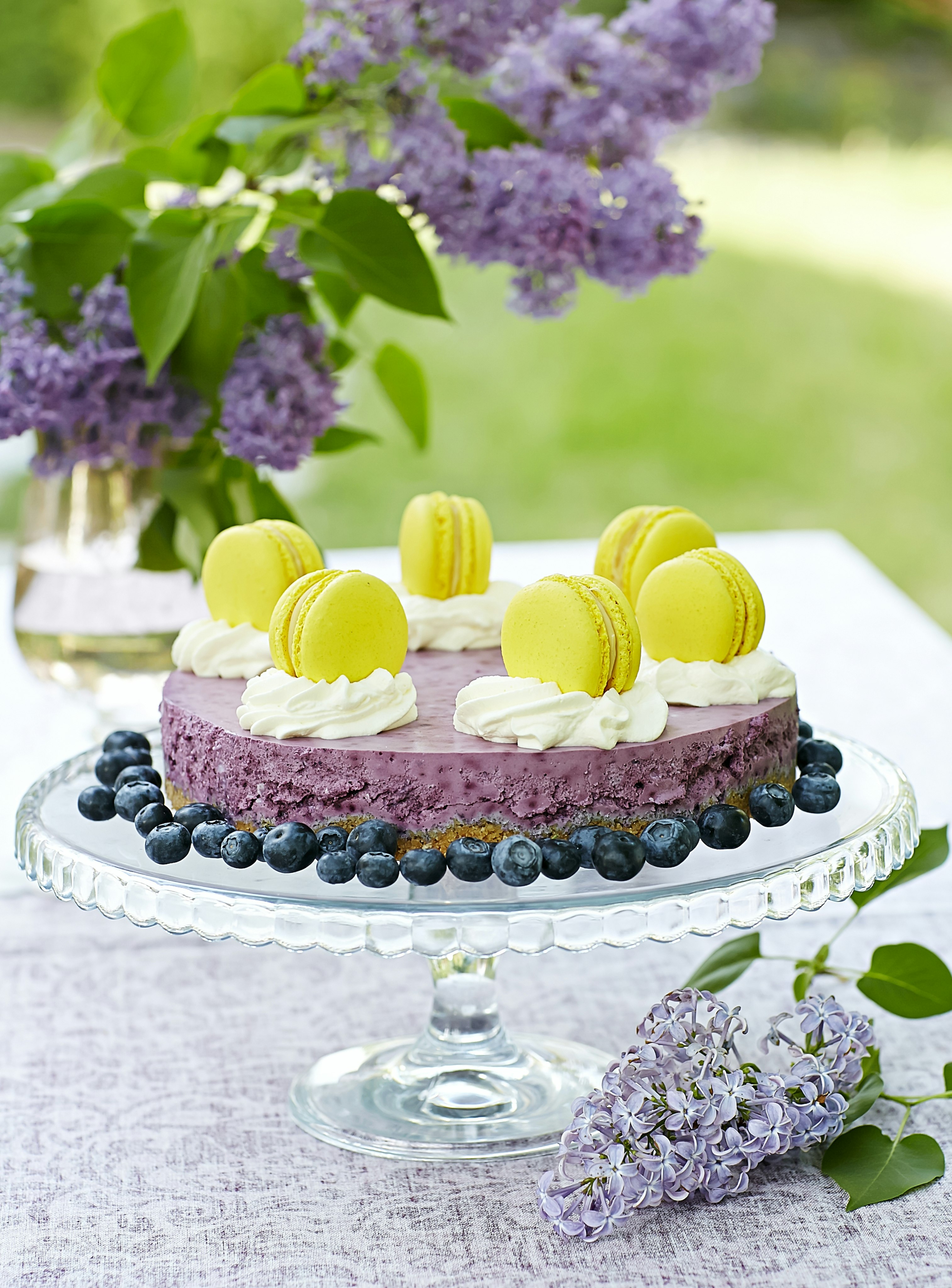 Blåbärscheesecake med vit choklad
