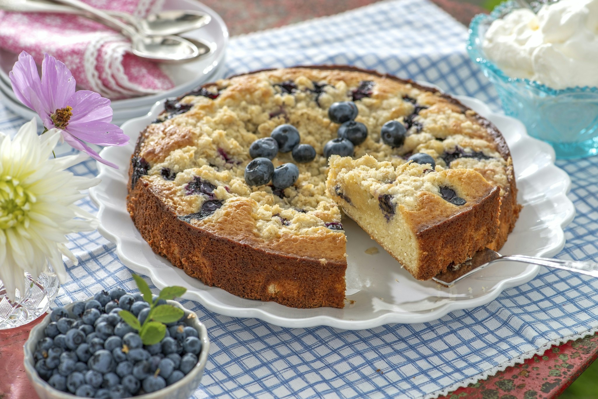 Blåbärskladdkaka med smultopp