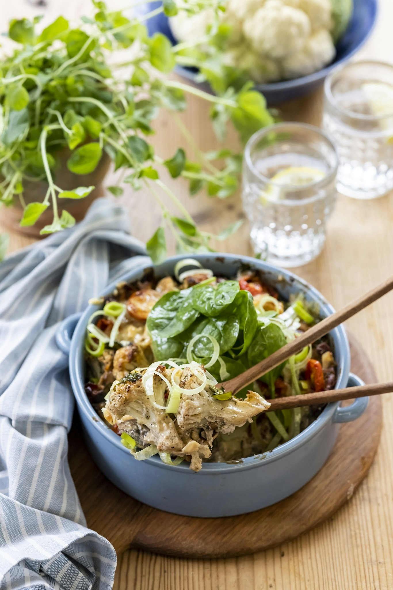 Blomkålsgratäng med svamp, bacon och spenat