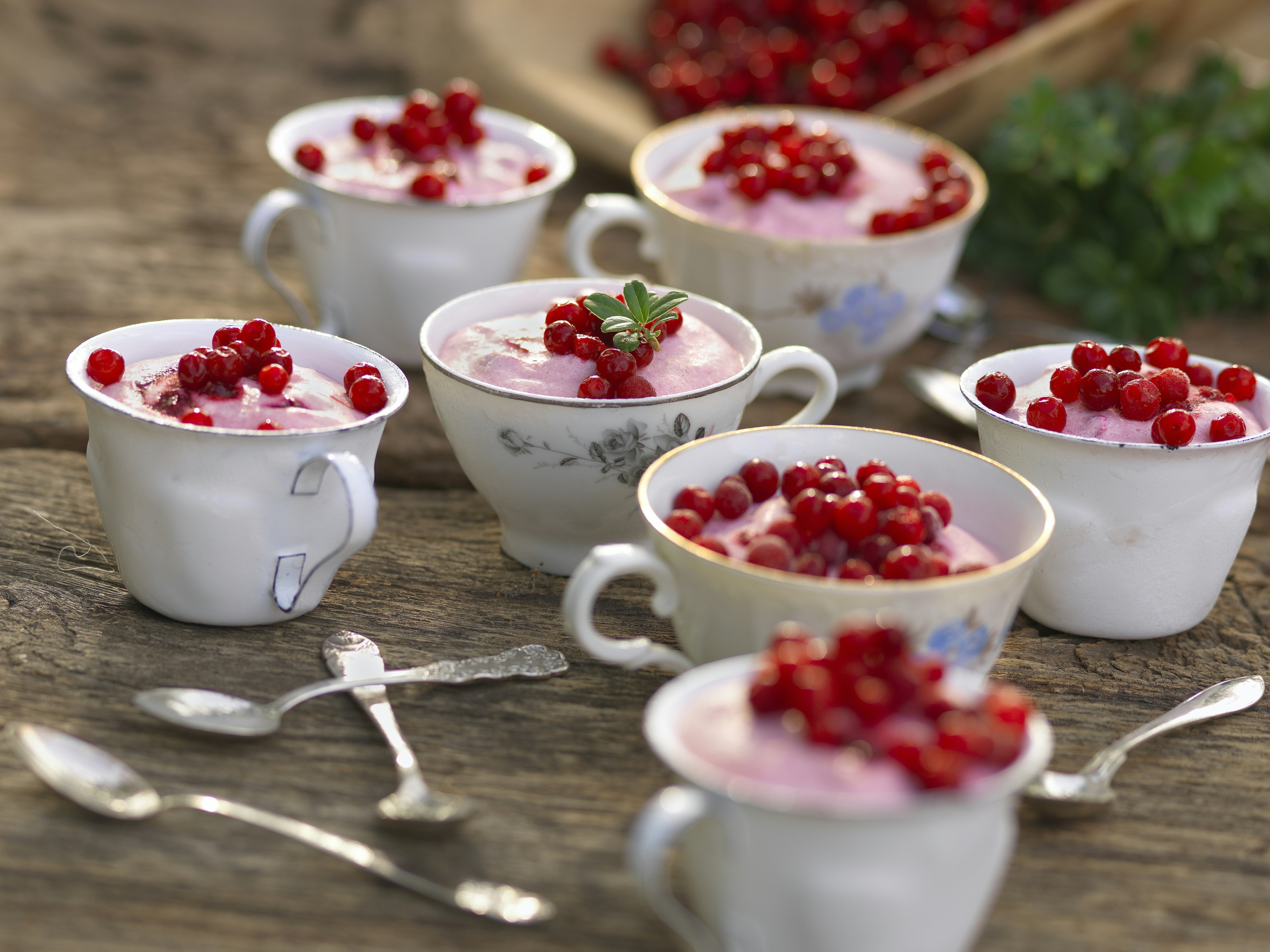 Fryst lingondessert i kopp