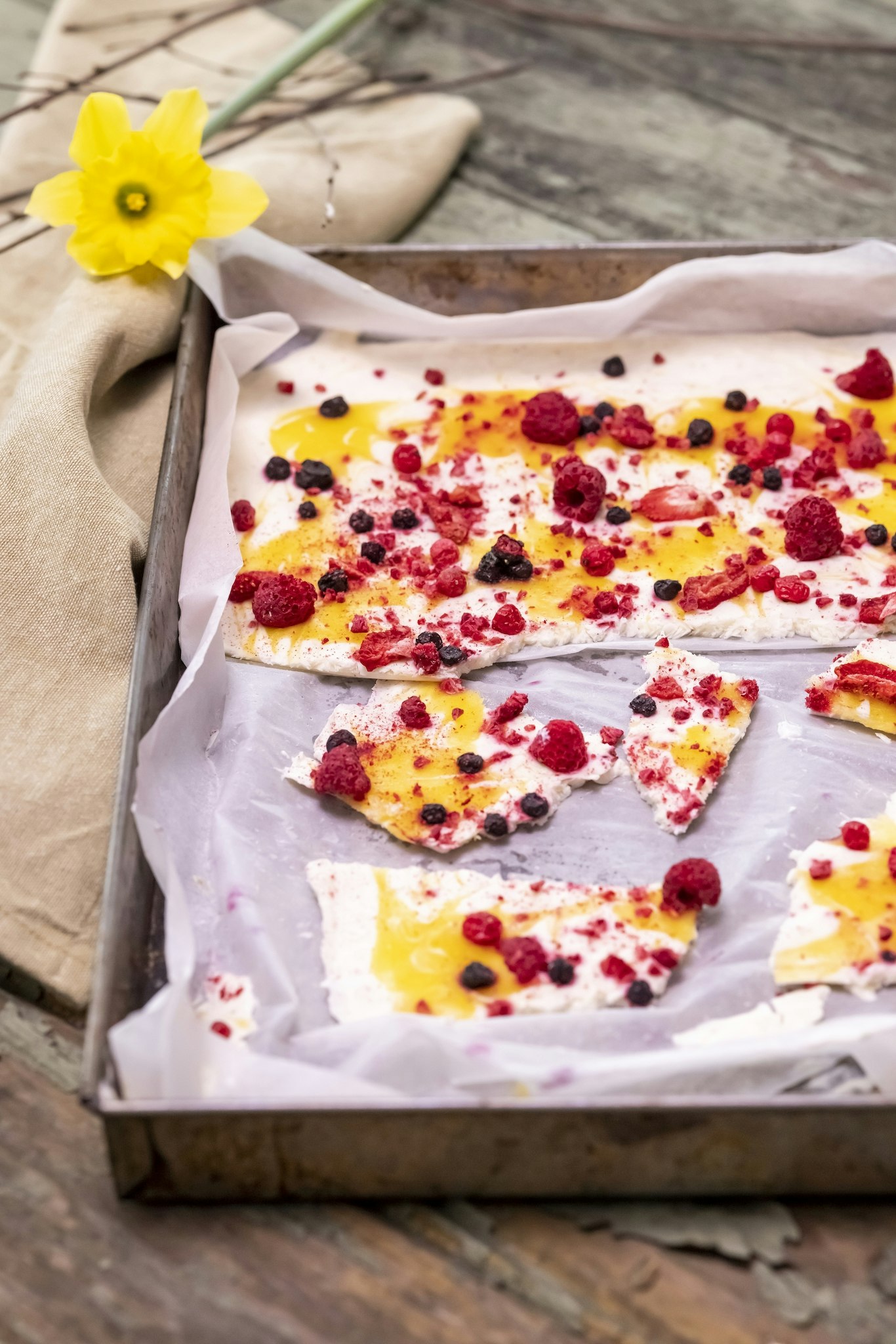 Fryst Yoghurtbräck Med Mango Och Torkad Frukt