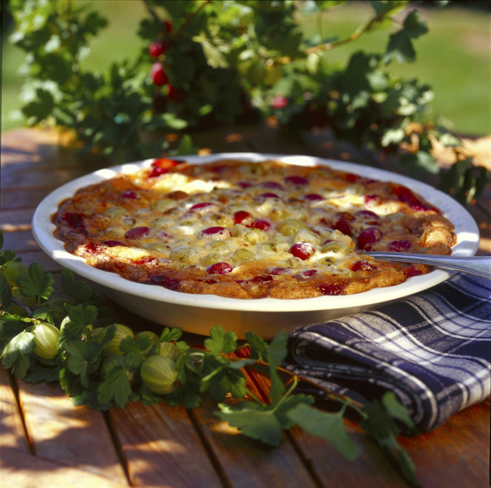 Gammaldags gräddkaka med krusbär