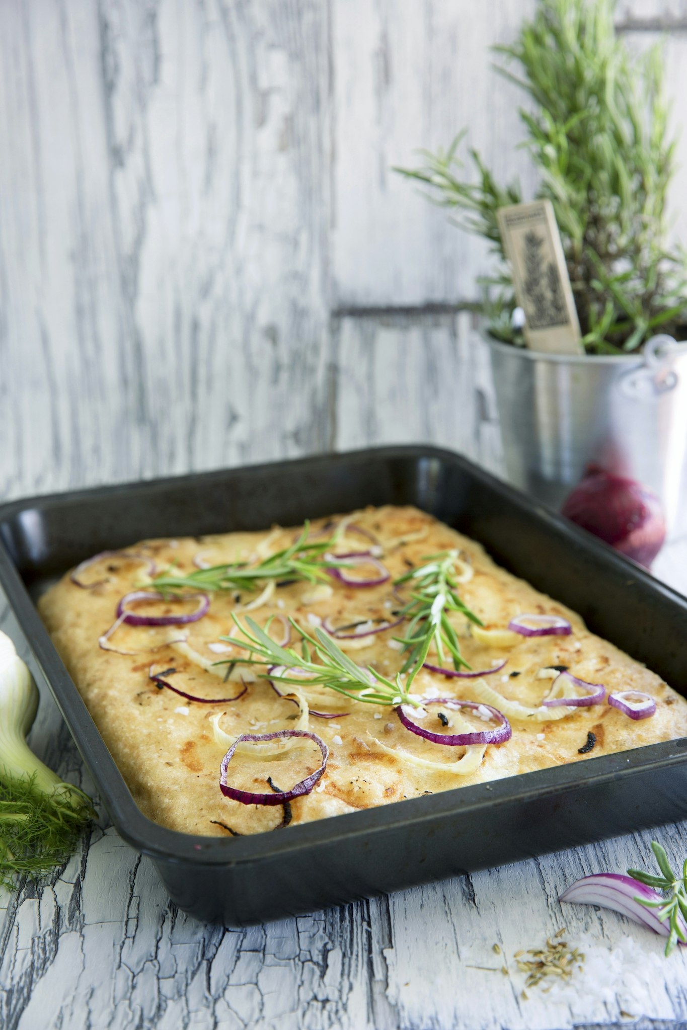 Glutenfri focaccia med fänkål i långpanna