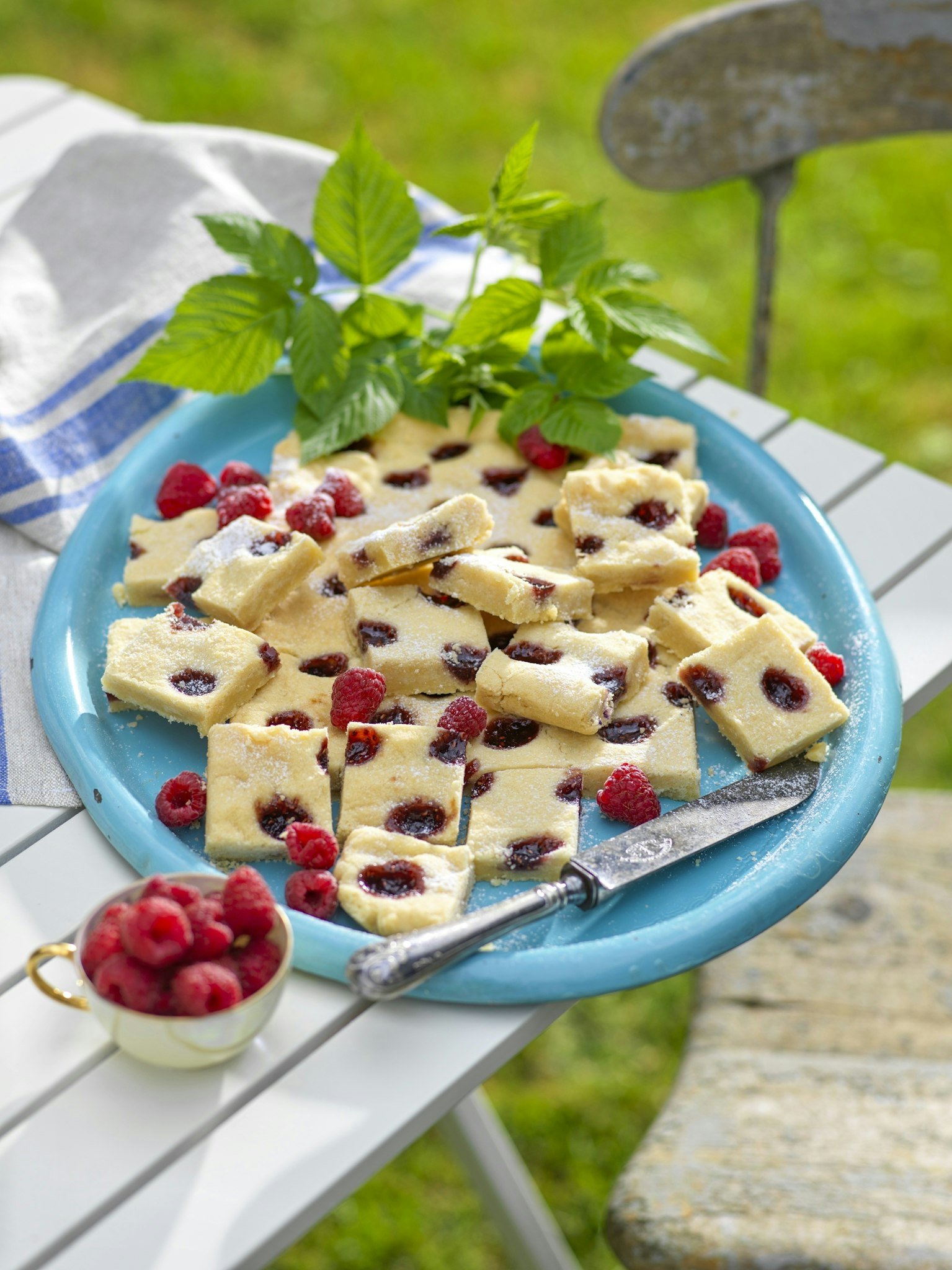 Hallongrottor i långpanna