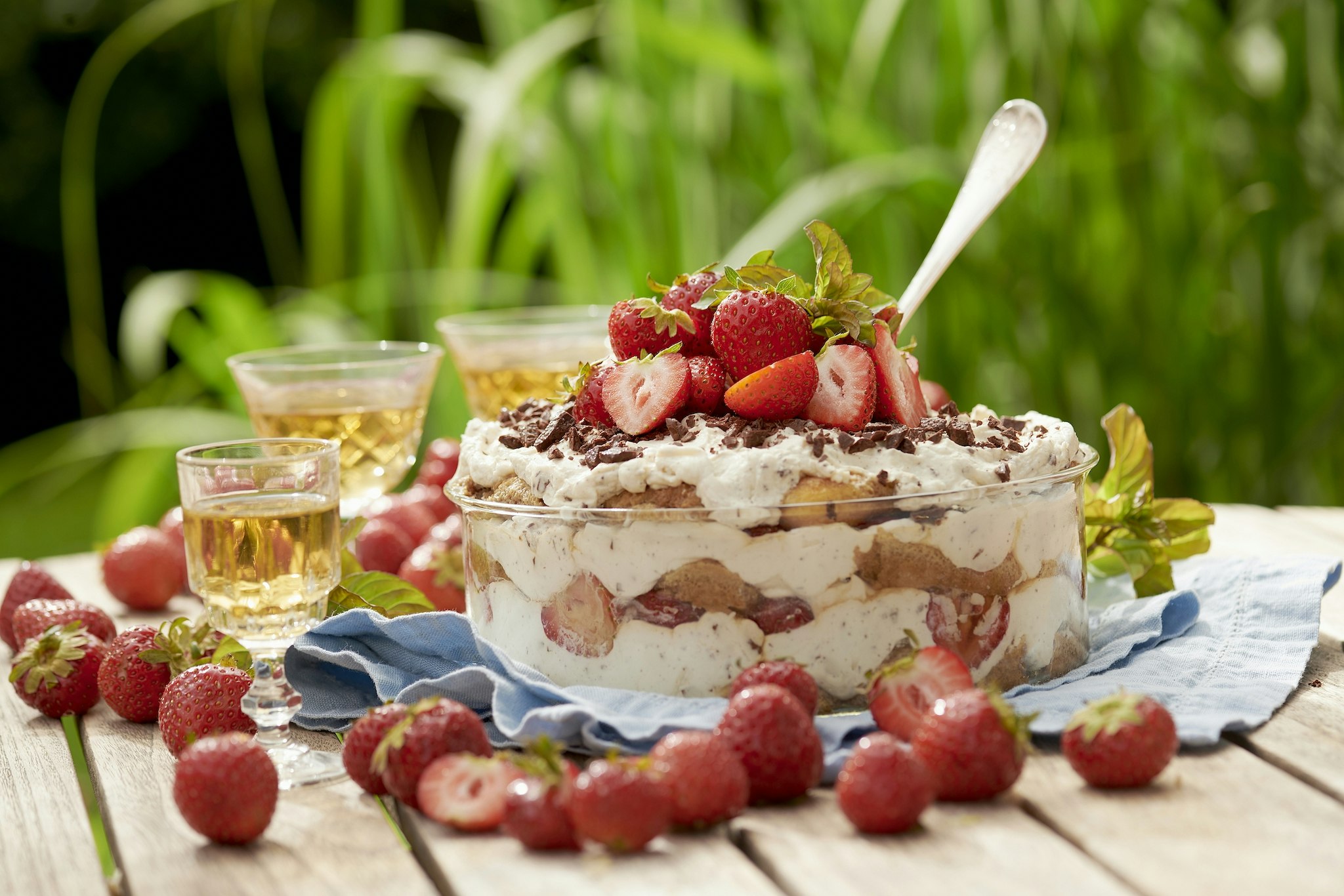 Jordgubbstiramisu med choklad