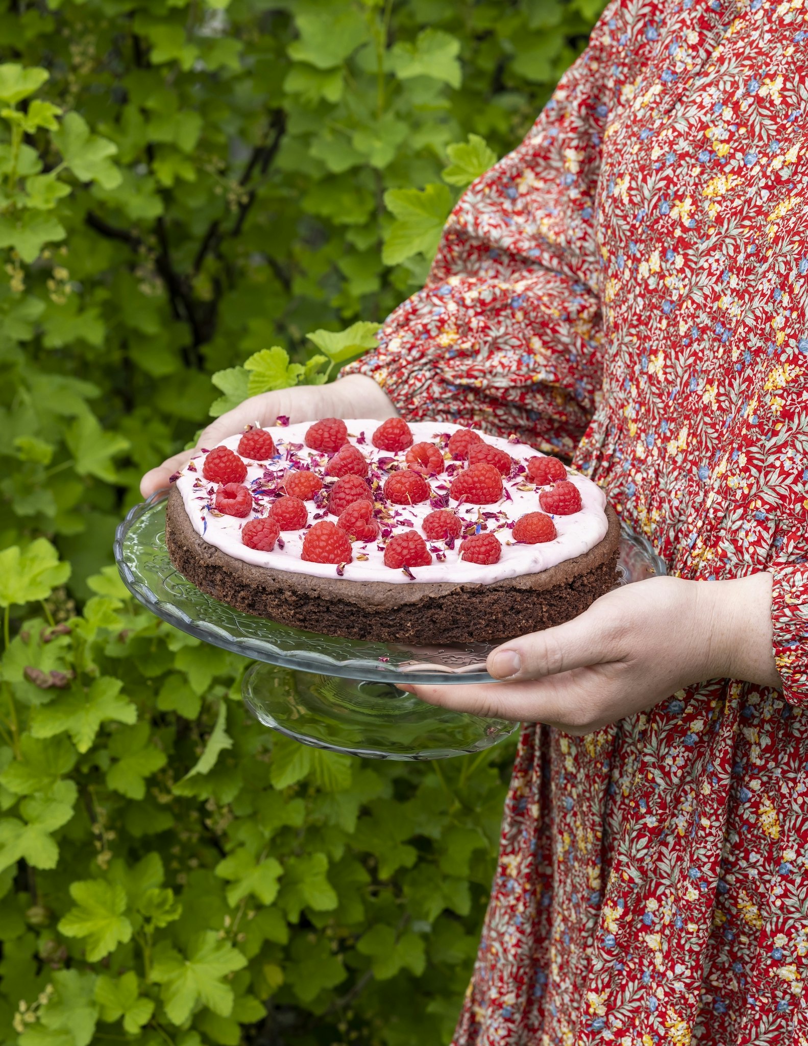 Klassisk chokladkladdkaka med hallongrädde