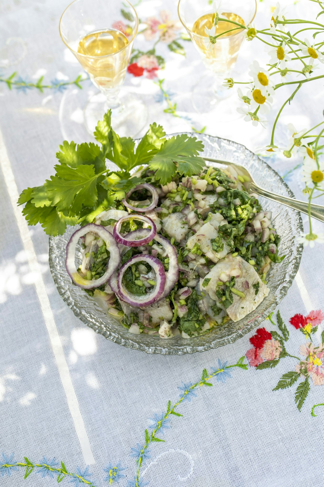 Koriandersill med rödlök och ingefära