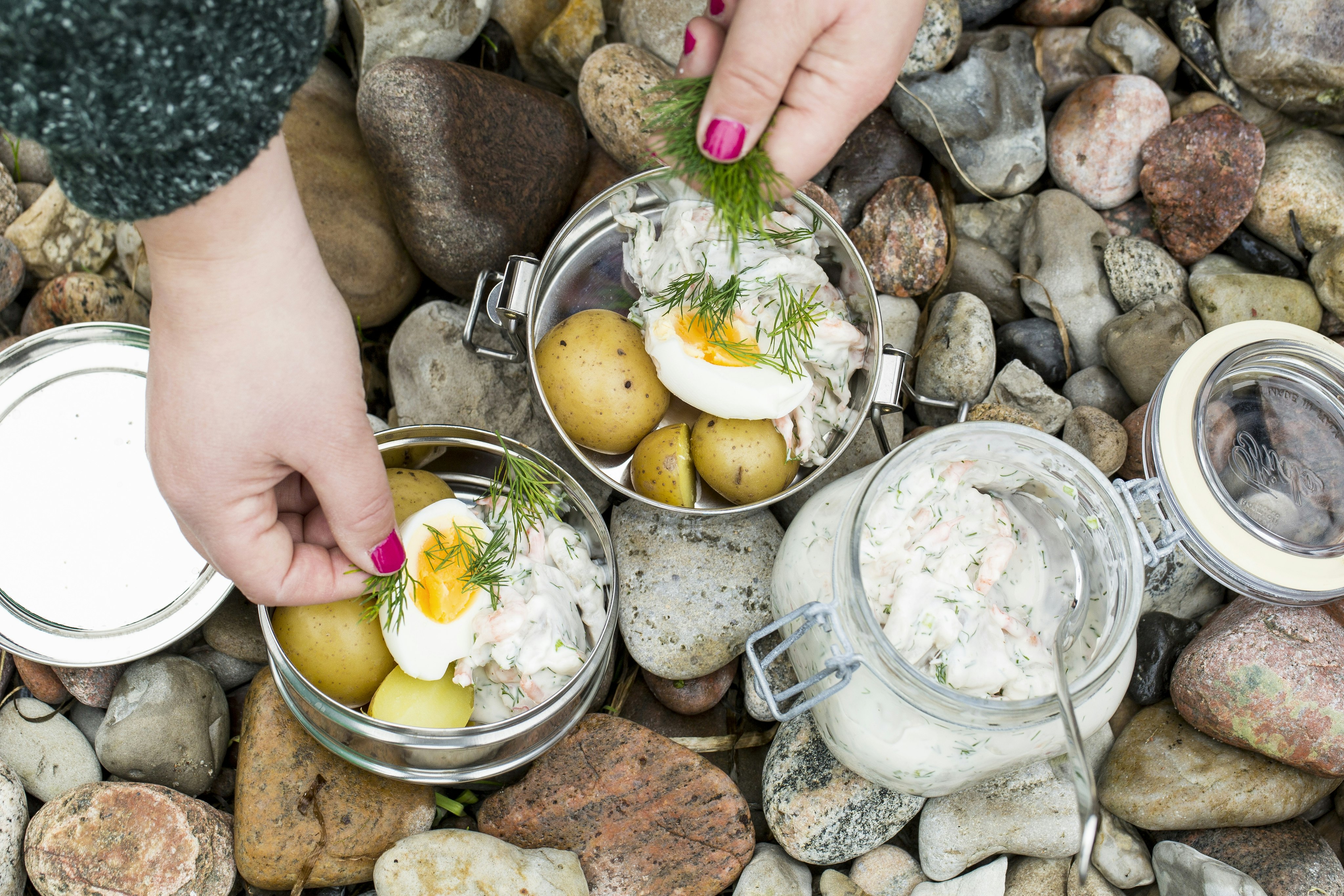 Krämig Skagensill med räkor