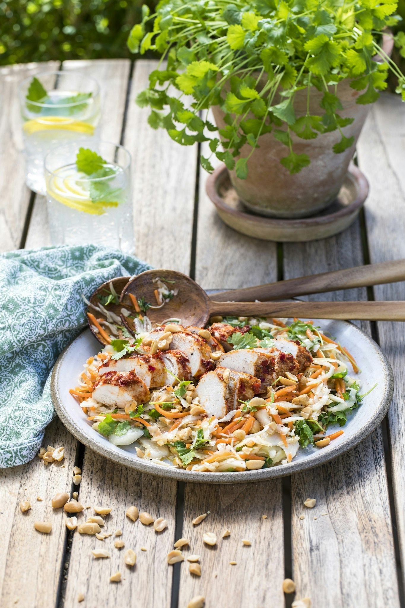 Kryddig kyckling med asiatisk kålsallad