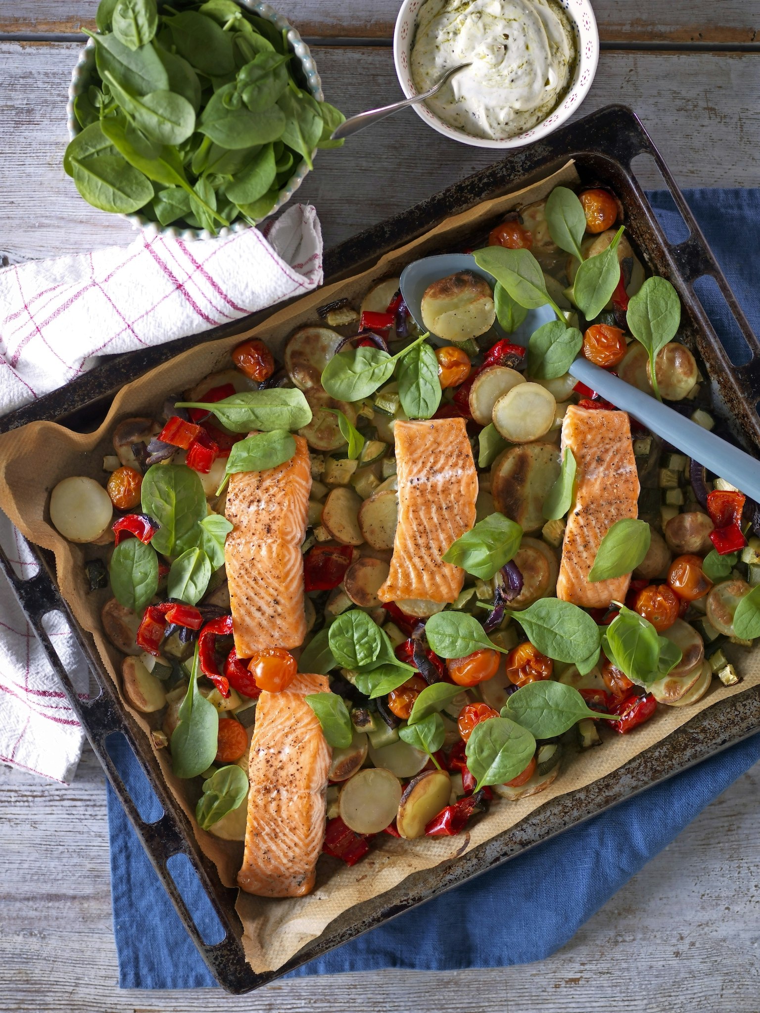 Laxpanna med pestokräm