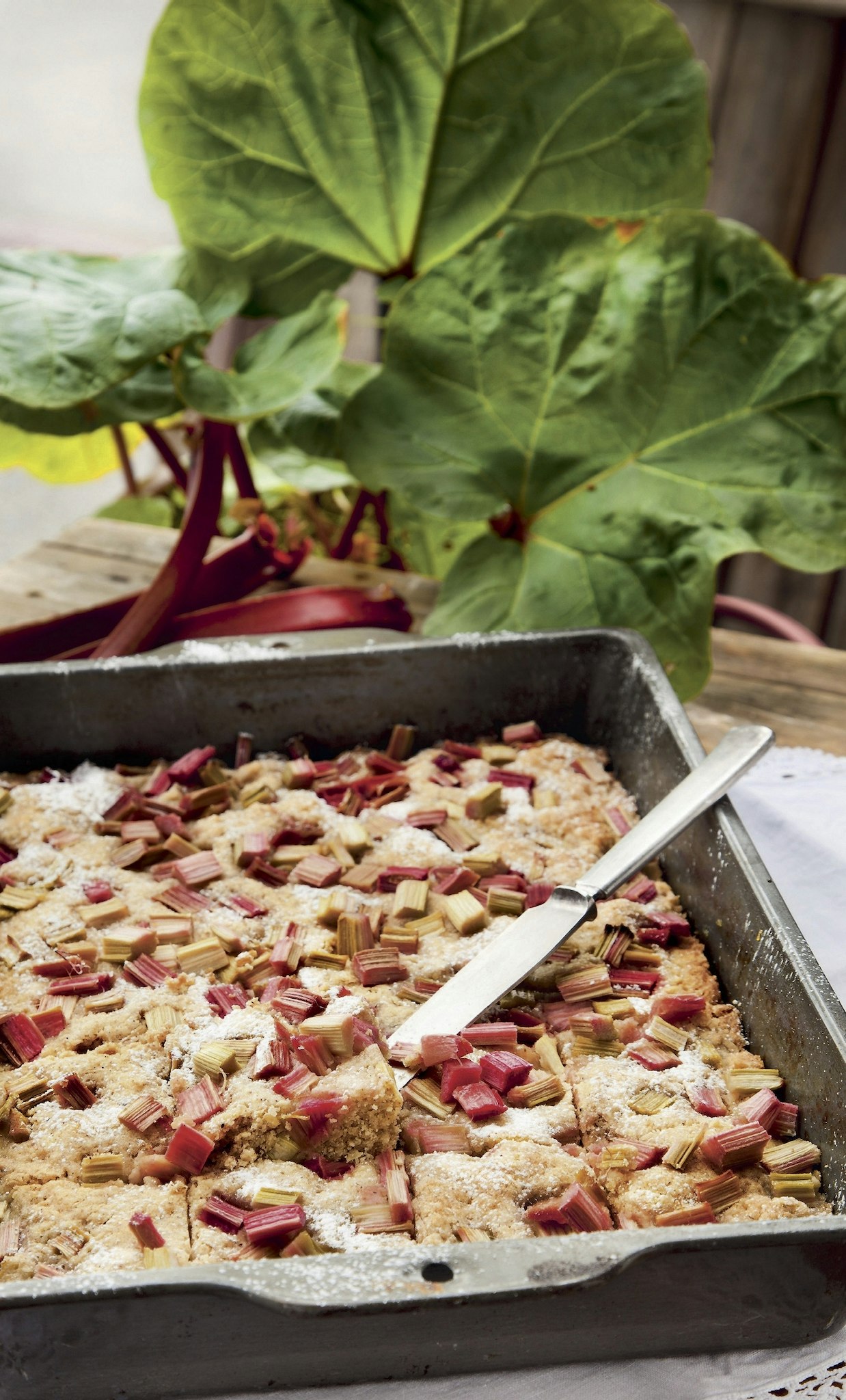 Mjuka havrerutor med rabarbertopping