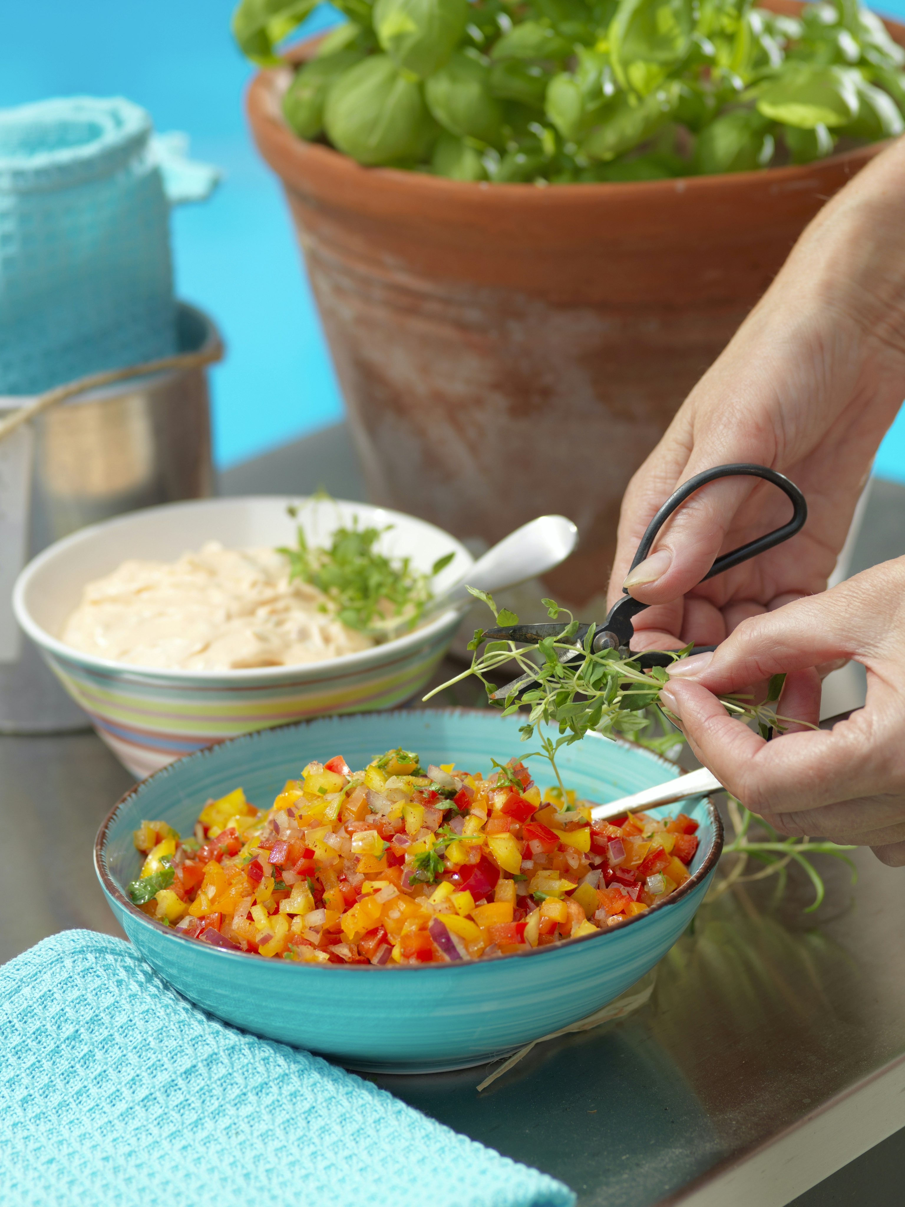 Paprikasallad med rödlök och persilja