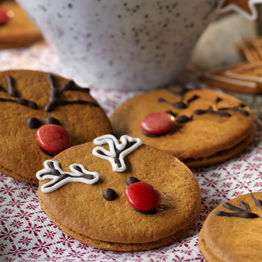 Beppa Rakko Våra bästa pepparkakor