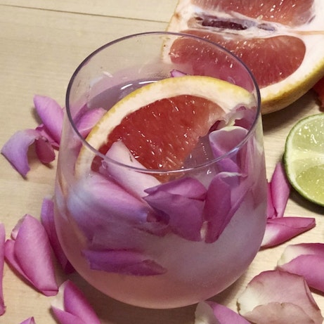 Pink paloma med rosenblad