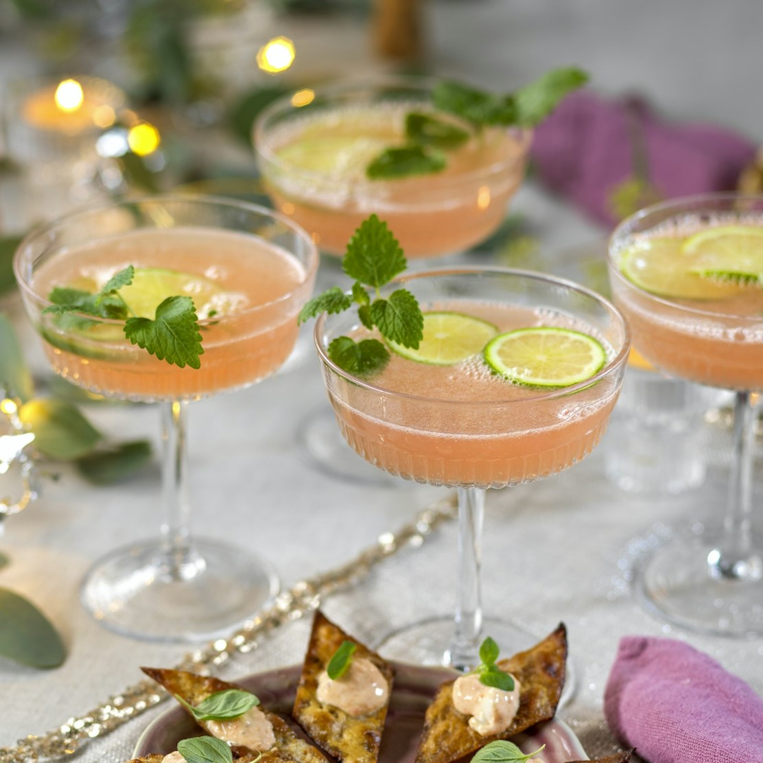 Pink paloma med rosenblad