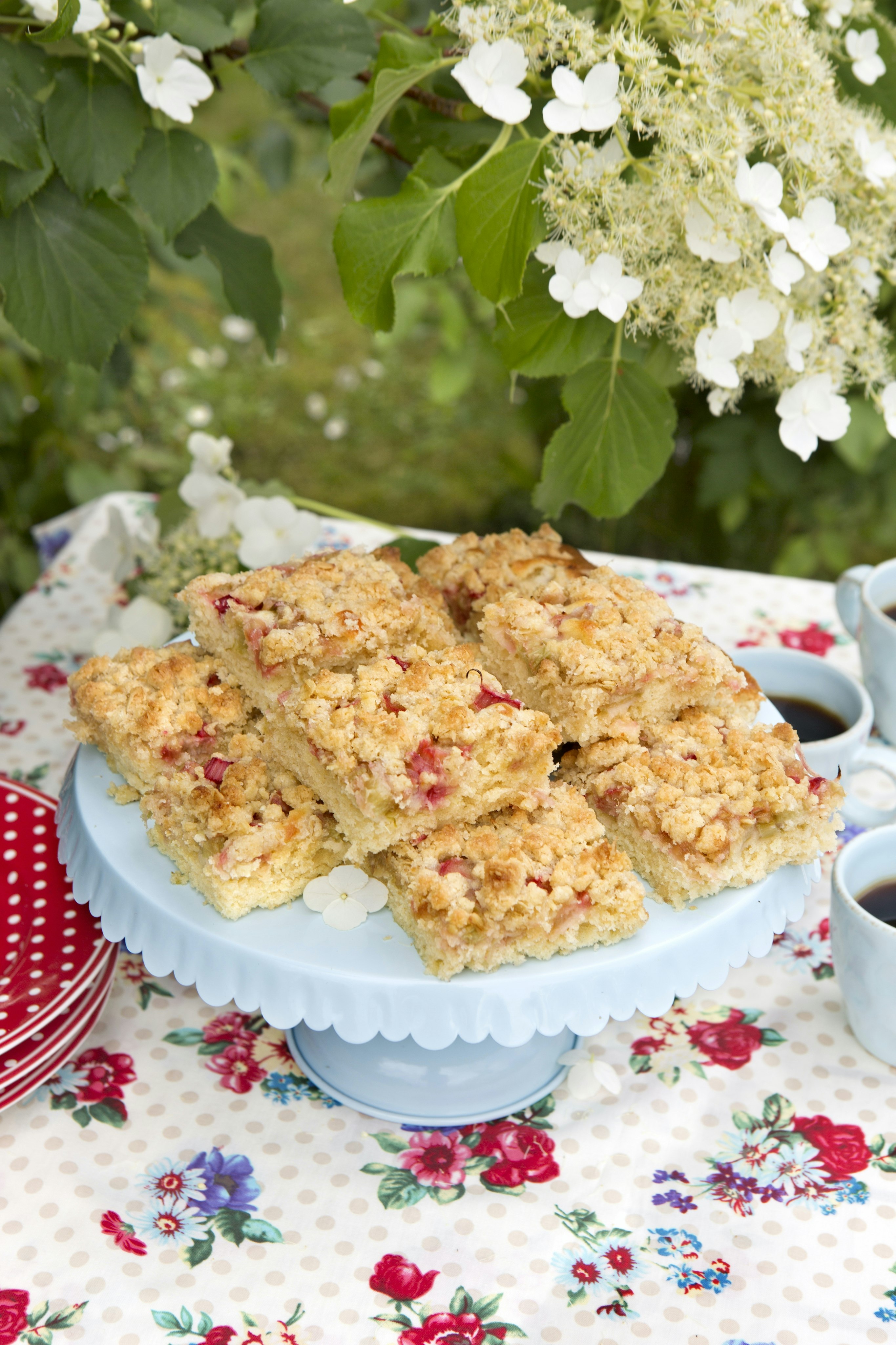 Rabarberrutor med havrecrumble