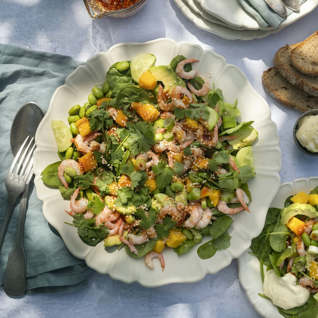 Ult Rak Recept Räkor – recept till vardag & fest