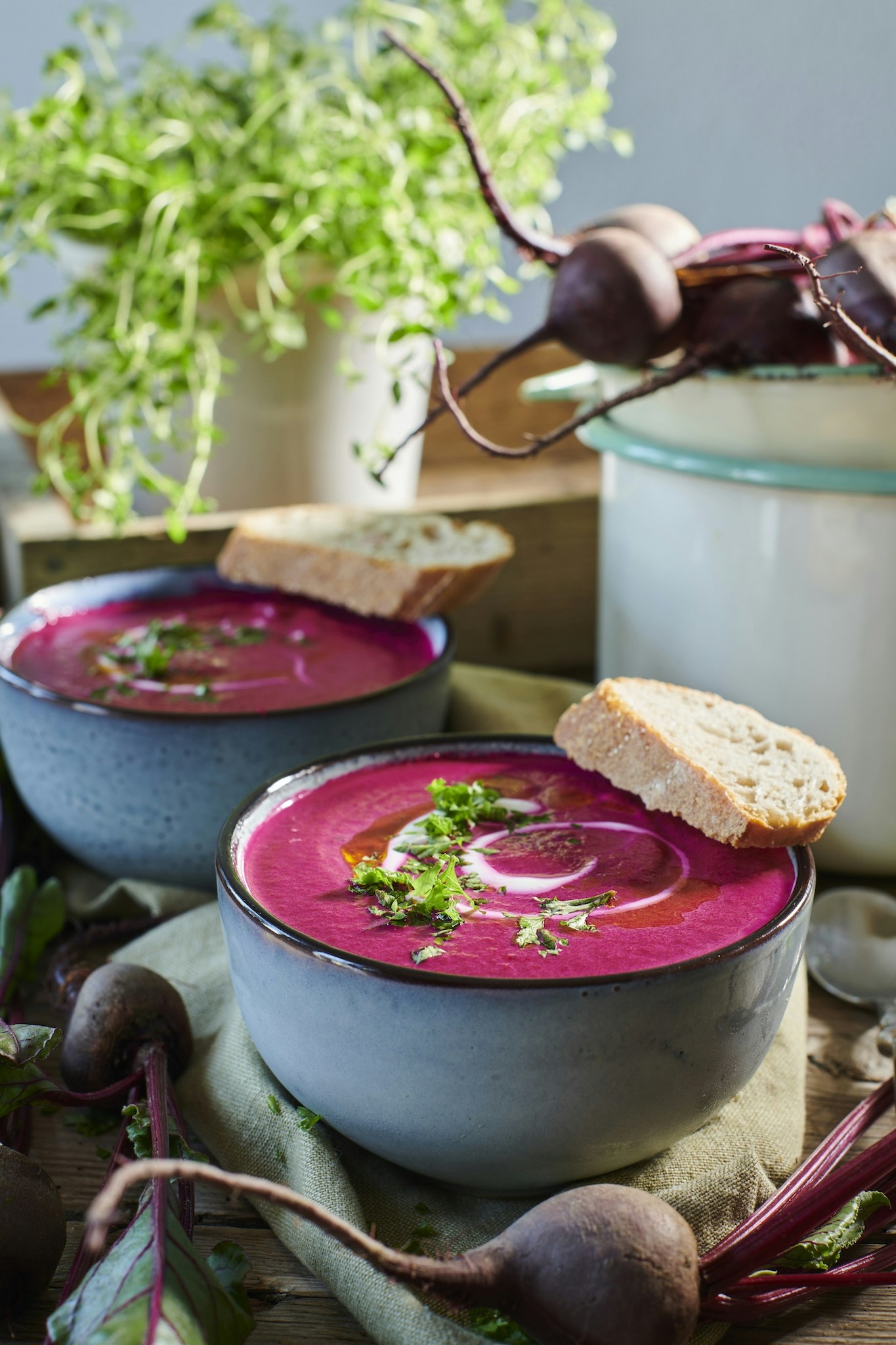 Rödbetssoppa med gräddfil