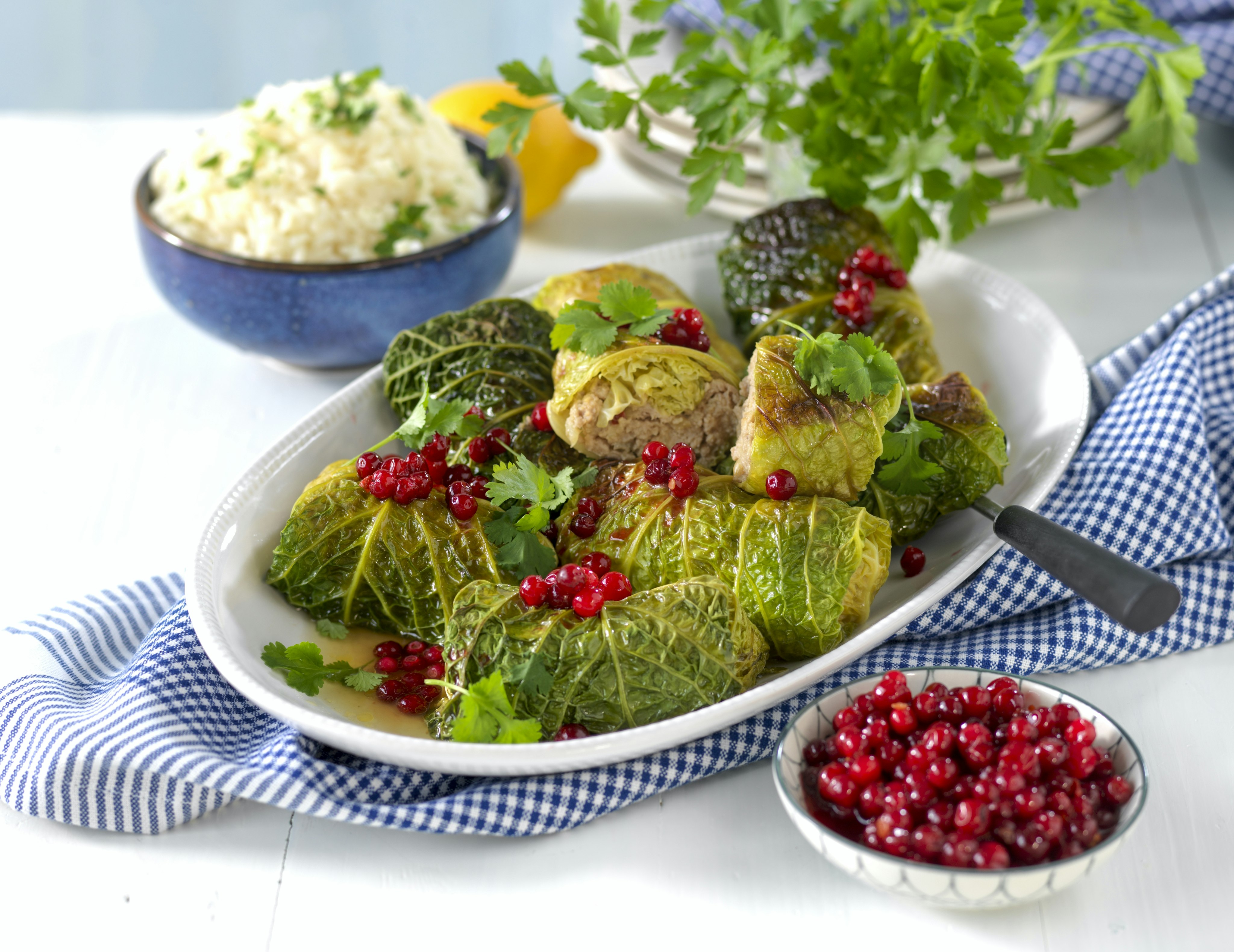 Savojdolmar med kycklingfärs