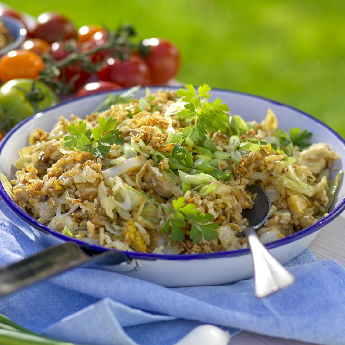 Kyckling Stroganoff med ris