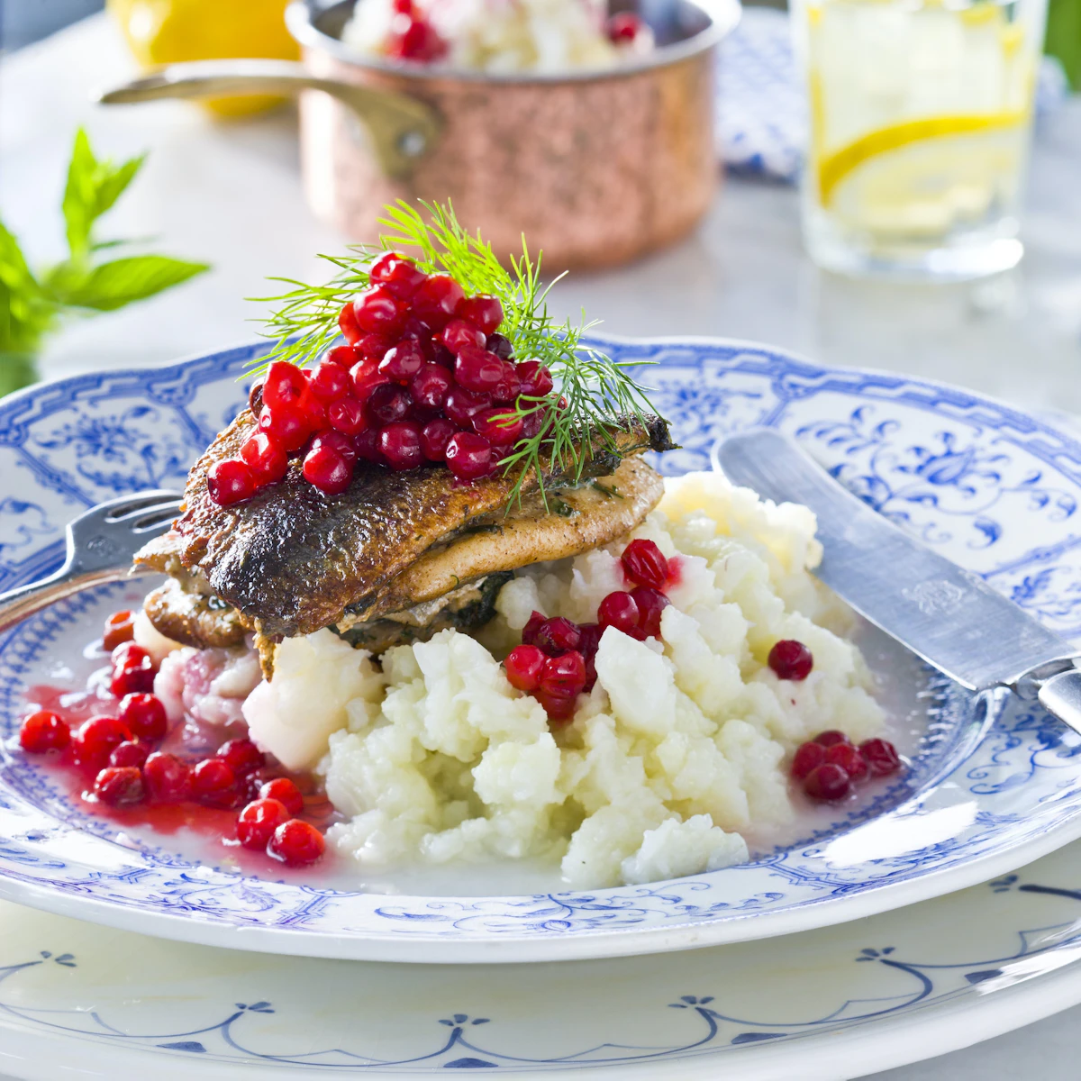 Stekt strömming med blomkålsmos och lingon