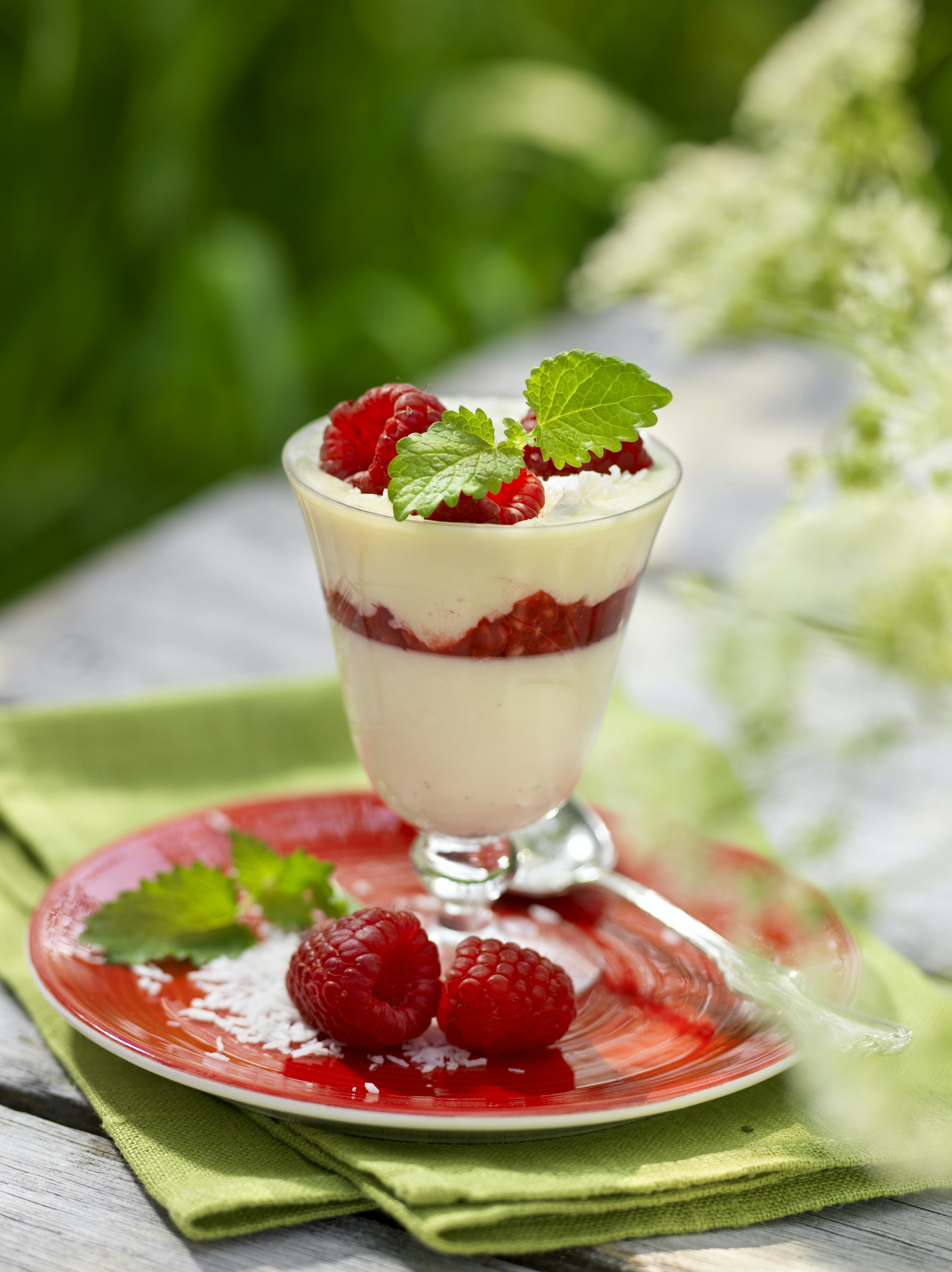 Vaniljpannacotta med hallon