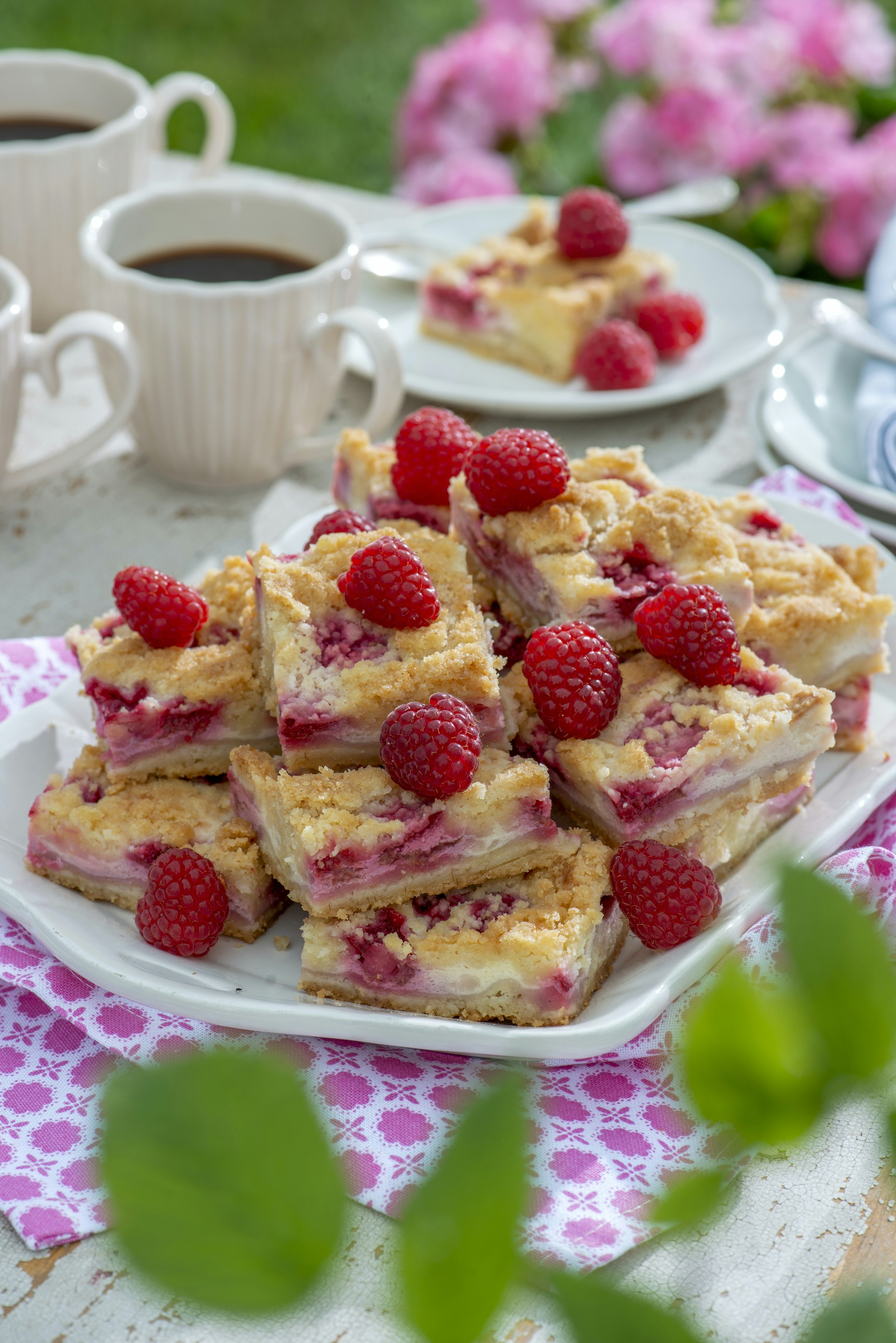 Vaniljrutor med hallon i långpanna