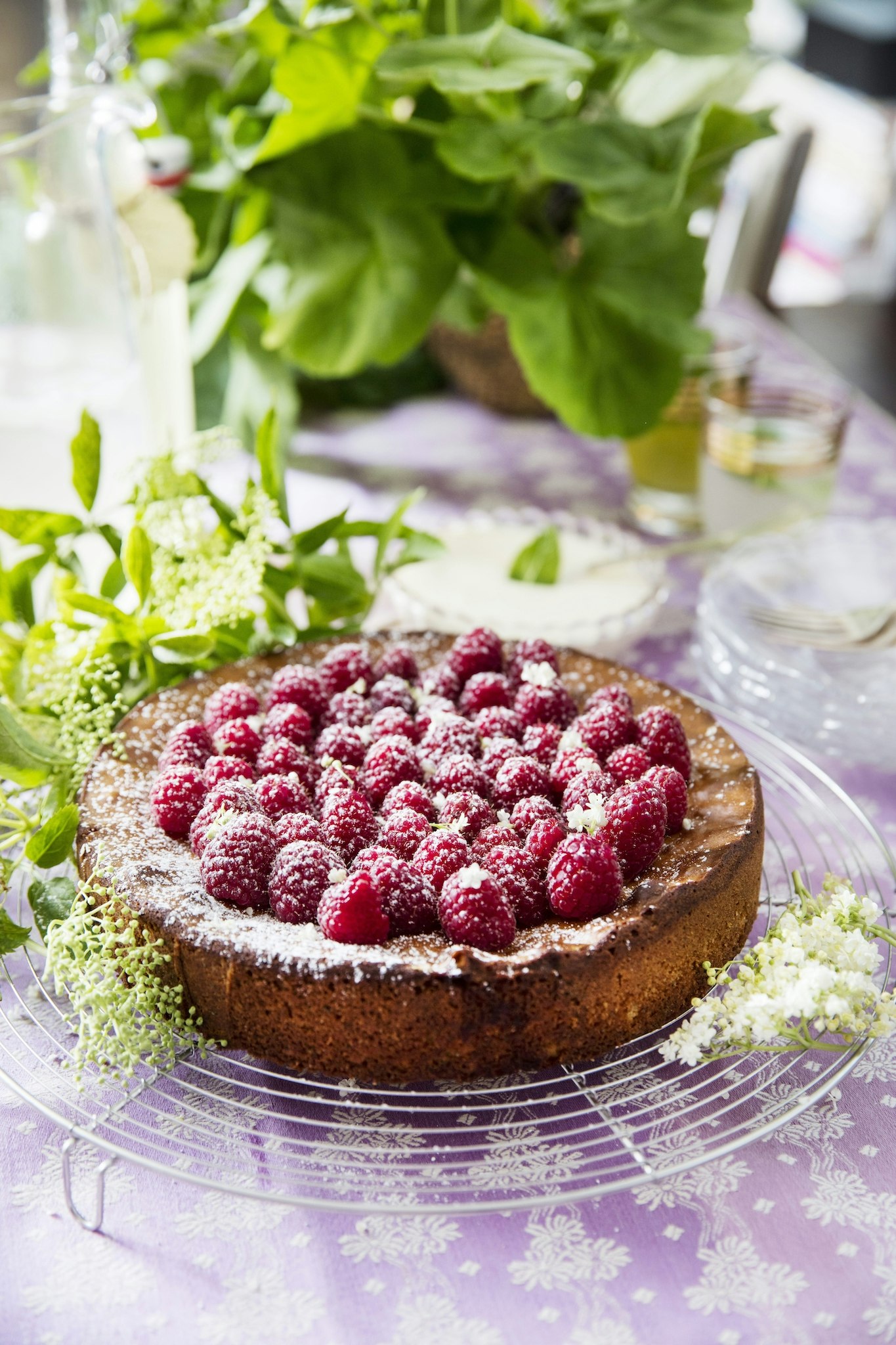 Vit kladdkaka med hallon och fläder